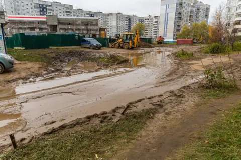 Строим и свинячим: ярославцы возмущены реализацией нацпроекта «Демография»