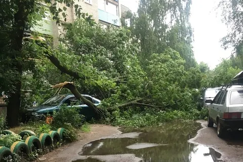 Деревья падали на машины: ярославцы делятся фото грозы и урагана