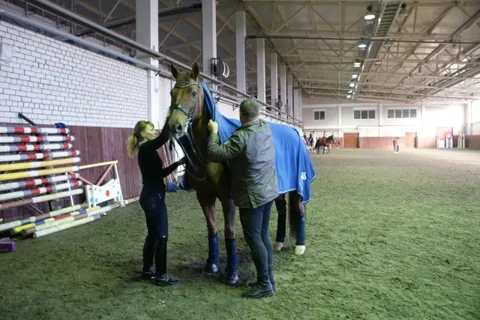 Ярославские конники завоевали «серебро» на международных соревнованиях по выездке
