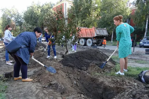 В центре Ярославля в Бутусовском поселке посадили яблоневый сад