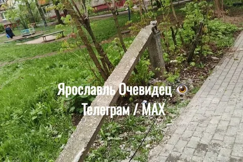 В Ярославле дерево рухнуло на легковушку