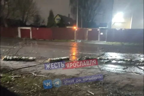 В Ярославле падают деревья, а в Рыбинске автобусные павильоны