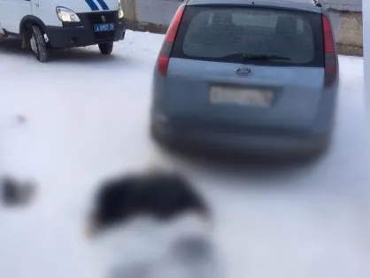 В Ярославле около жилого дома обнаружен труп мужчины