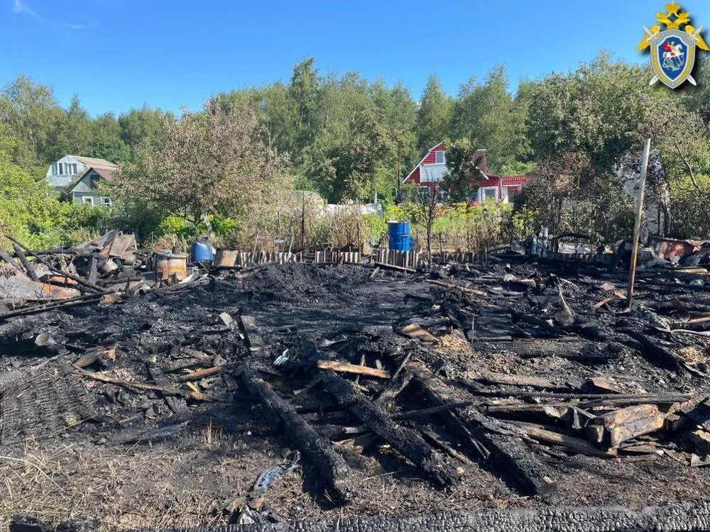 Женщина с двухлетним ребенком погибли в пожаре под Ярославлем
