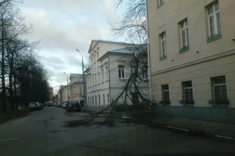 В Ярославль пришел ураган: фоторепортаж последствий природной стихии