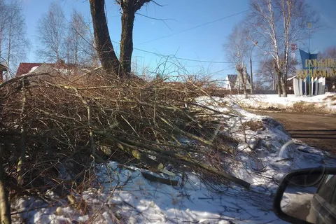 Третий день Тутаев завален спиленными ветками 