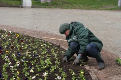 Ярославскую Стрелку украсили более 4,5 тысяч цветов