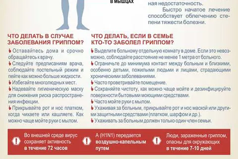 В Ярославле обнаружен свиной грипп