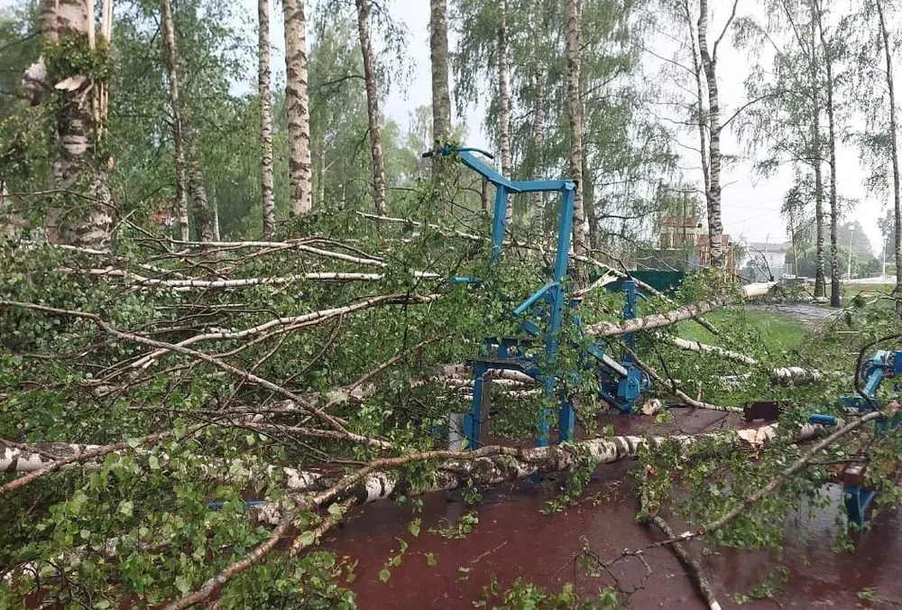 В Ярославской области энергетики ликвидируют последствия штормового ветра 