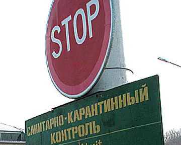 В Ярославле у прилетевшего из Анголы гражданина отобрали чучело черепахи и креветки