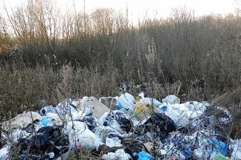 За прошлый год в Рыбинске ликвидировали 24 несанкционированные свалки