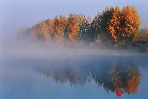 В Ярославле открылась выставка фотохудожника Николая Козичева. С фото