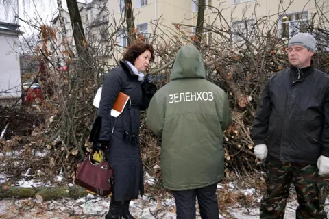 Второй сквер  лег под нож в центре Ярославля