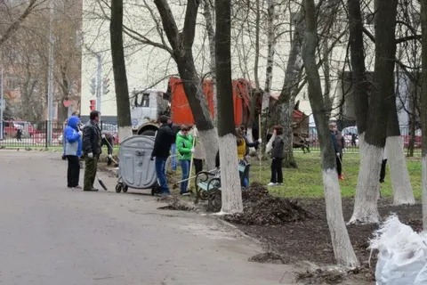 В Ярославле ликвидировано 133 несанкционированные свалки