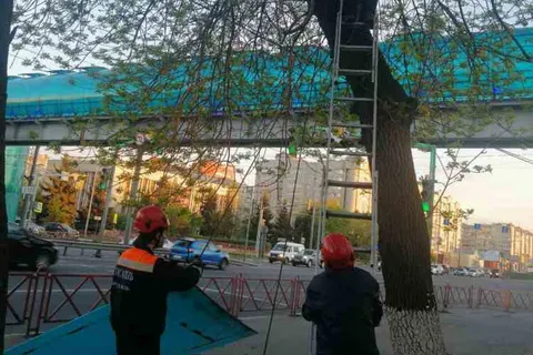 В Ярославле с надземного перехода улетел лист поликарбоната