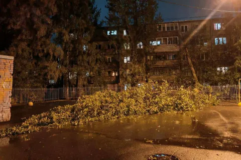 Ярославские энергетики оперативно устраняют последствия непогоды