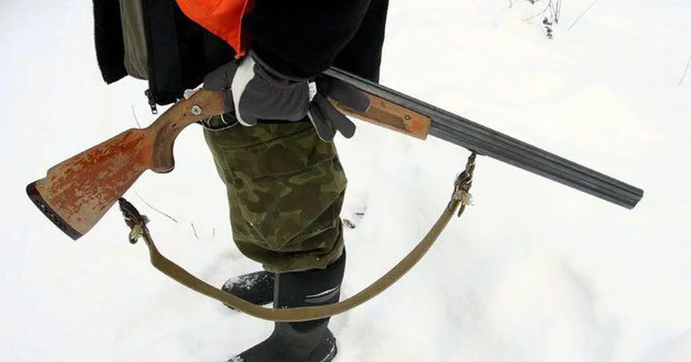 В Ярославской области вместо лося один прапорщик застрелил другого