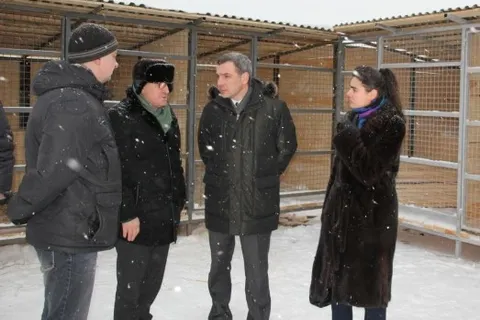 В Ярославле более тридцати потерявшихся животных вернулись домой из САХ