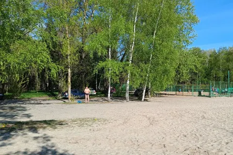 Ярославцы требуют убрать автомобили из парковой зоны в Подзеленье