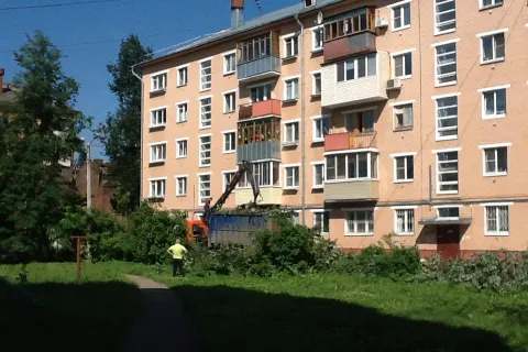 Во дворах Ярославля идет тотальная вырубка деревьев