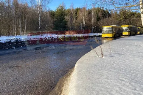 В Ярославле конечную остановку желтых автобусов превратили в помойку