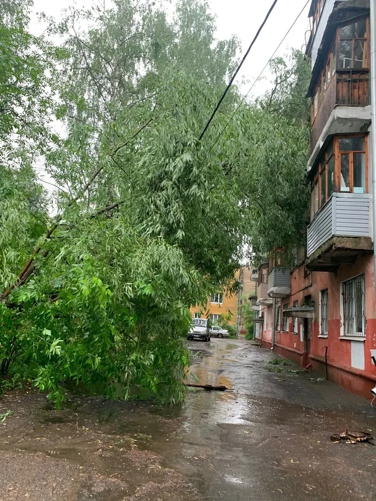 В Ярославле дерево упало на дом