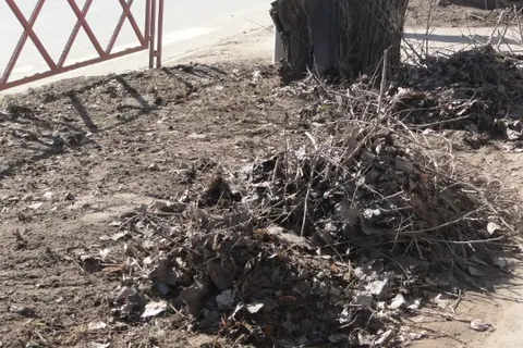 Ярославцы приводят весенний город в порядок