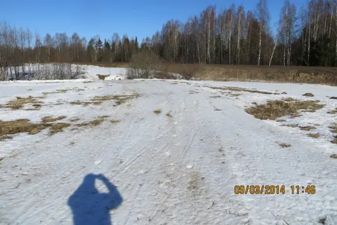 Деминский марафон Worldloppet-2014 в Рыбинске отменен. С фото