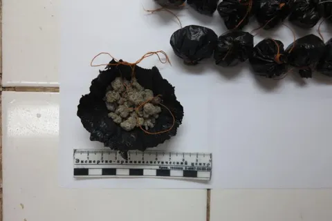 В Ярославле у безработного изъяли героин и гашиш в крупном размере
