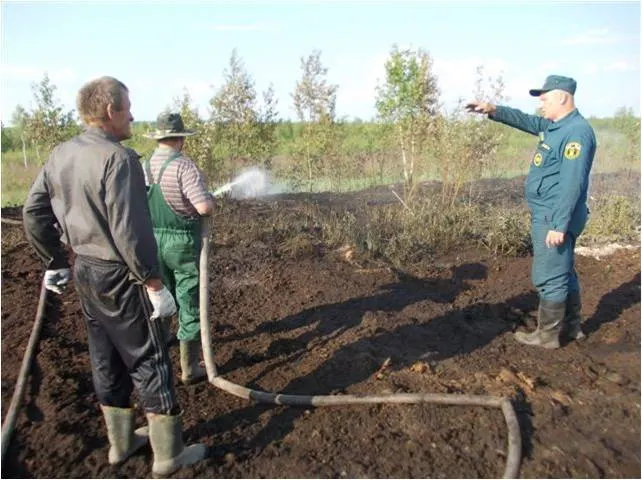 В Ярославской области горел торфяник
