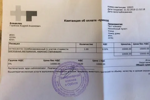 Ярославец спас сбитую собаку на заснеженной трассе Сыктывкара