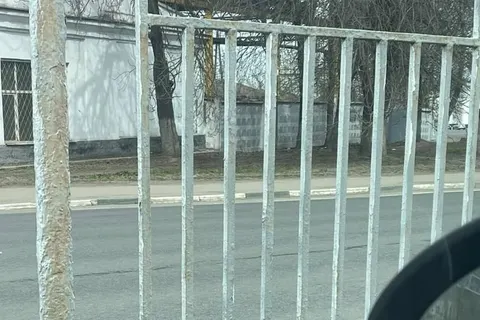 В Ярославле продолжают традицию покраски заборов по грязи