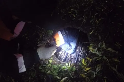 Ярославские спасатели помогли провалившейся в люк собаке