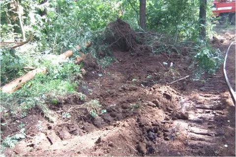 В Ярославской области – несколько крупных очагов лесных пожаров