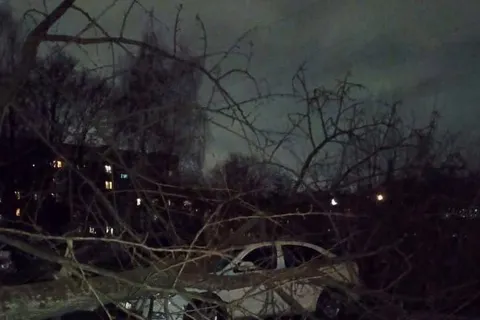 В Ярославле падают деревья, а в Рыбинске автобусные павильоны