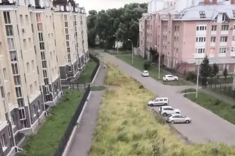В Ярославле ураганный ветер повалил несколько деревьев: фото