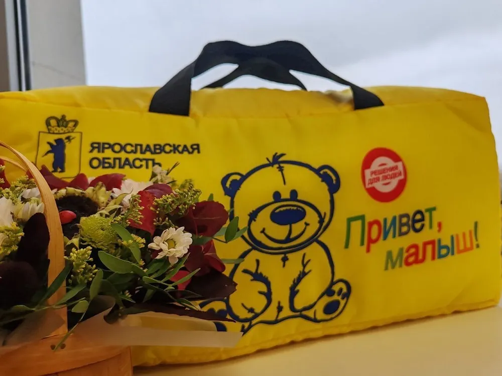В Ярославской области 77 беременных студенток получили новую выплату