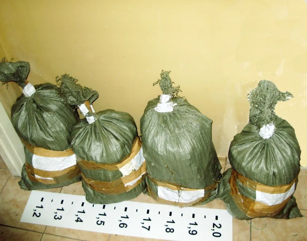 Наркоман из Ярославской области купил 4 мешка марихуаны у цыгана