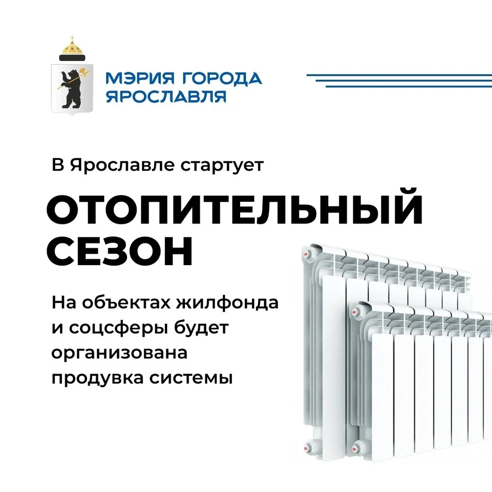 Мэрия Ярославля просит жителей в выборы посидеть дома