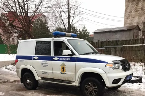 В Ярославле объявлено вознаграждение за информацию об убийцах собаки