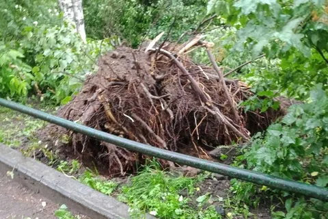 В Ярославле ночью устраняли последствия вчерашней грозы