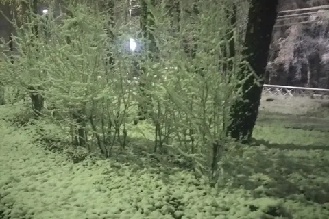 Ярославцы делятся фотографиями первого снега