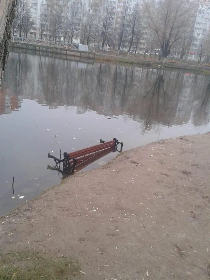 В Ярославле вандалы утопили новые скамейки в парке 30-летия Победы