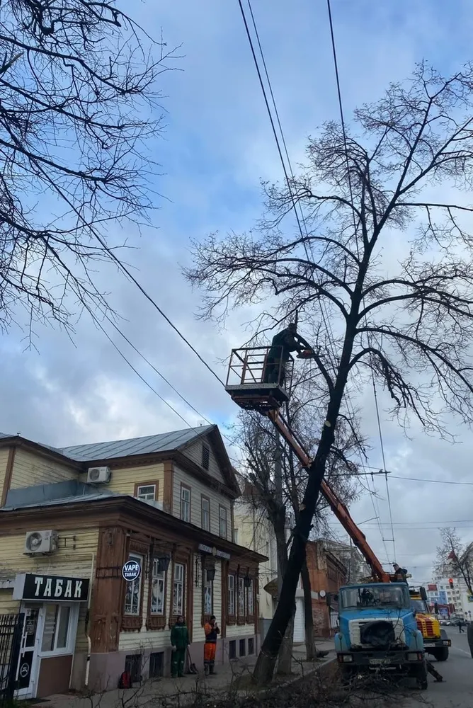 В Ярославском районе без света остаются 19 населенных пунктов