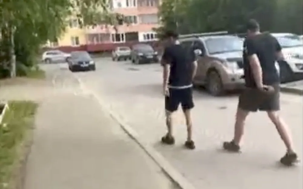 В Ярославле избили искавших кота девушек