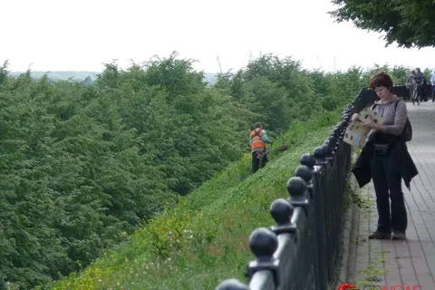 В Ярославле обкашивают крутые склоны Волжской набережной без страховки