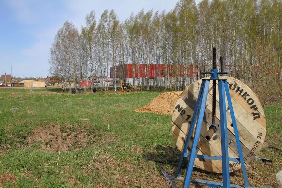 В Ярославле затягивается установка новых площадок для выгула собак