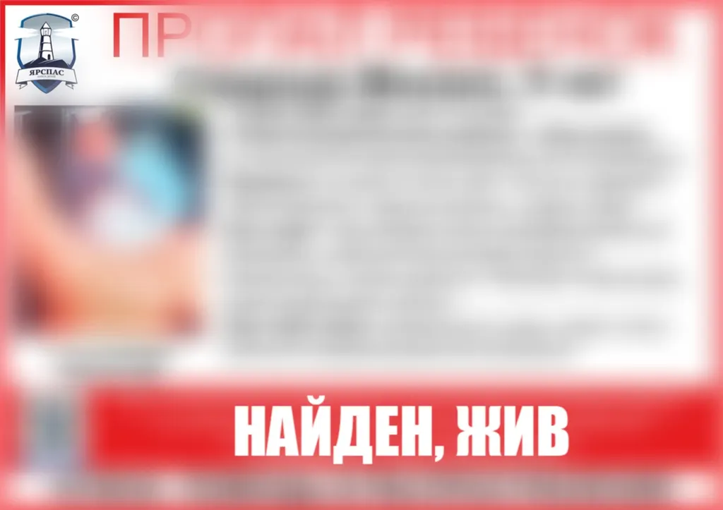 Пропавший в Ярославле девятилетний мальчик найден