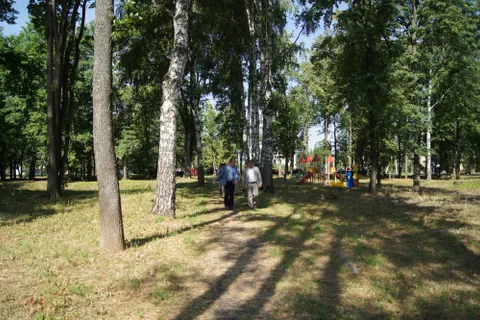 В Ростове Великом началось благоустройство Комсомольского парка