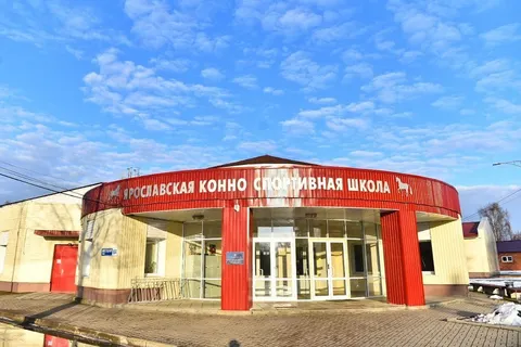 В Ярославле продолжается «война петиций» вокруг конно-спортивной школы